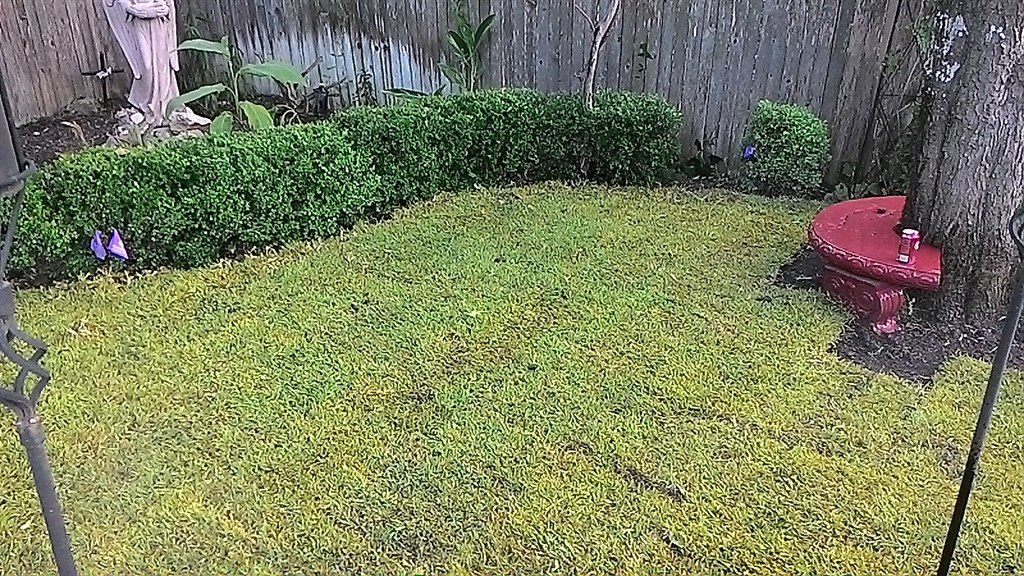 installed grass 