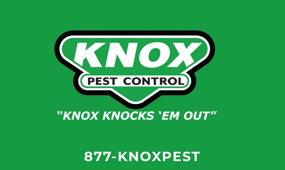 Avatar for Knox Pest Control