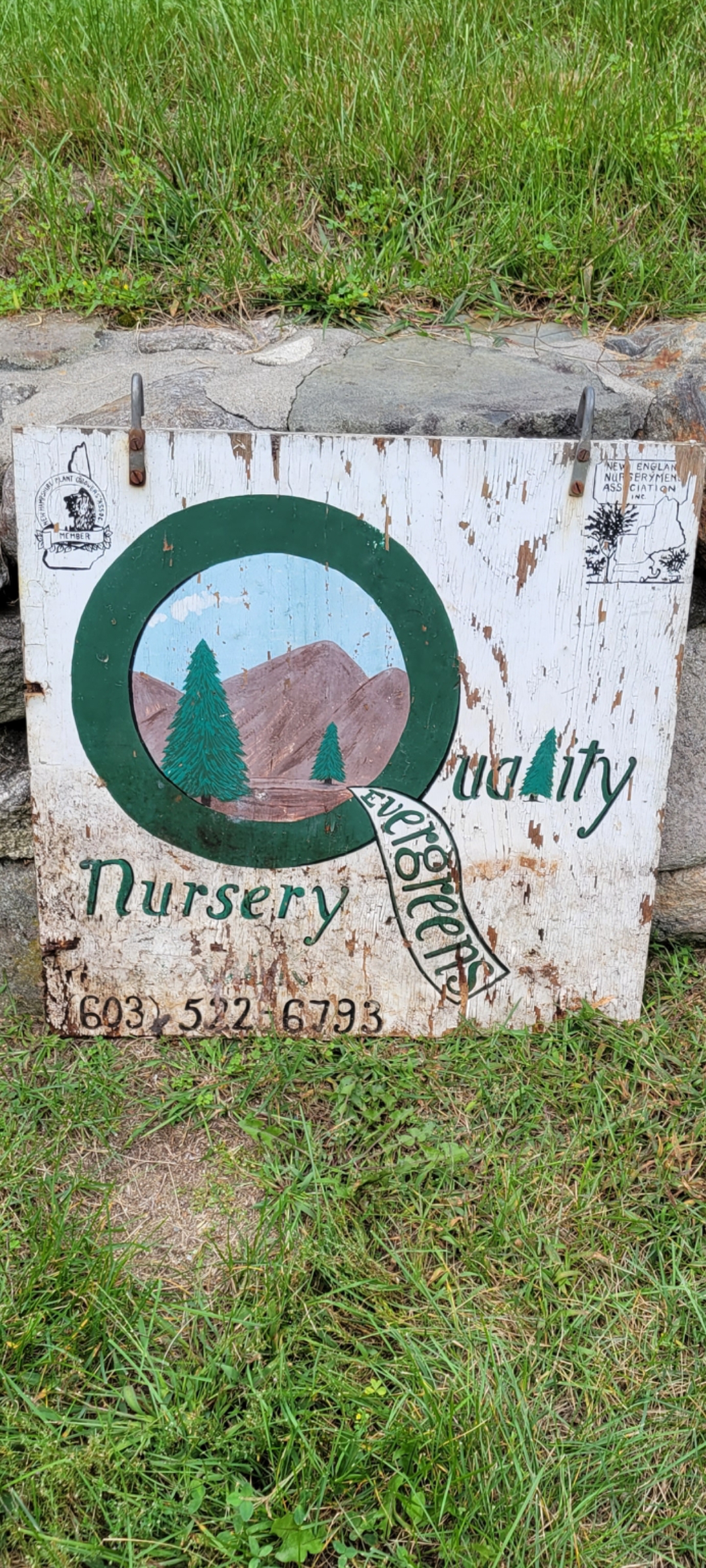 Avatar for Quality Evergreens