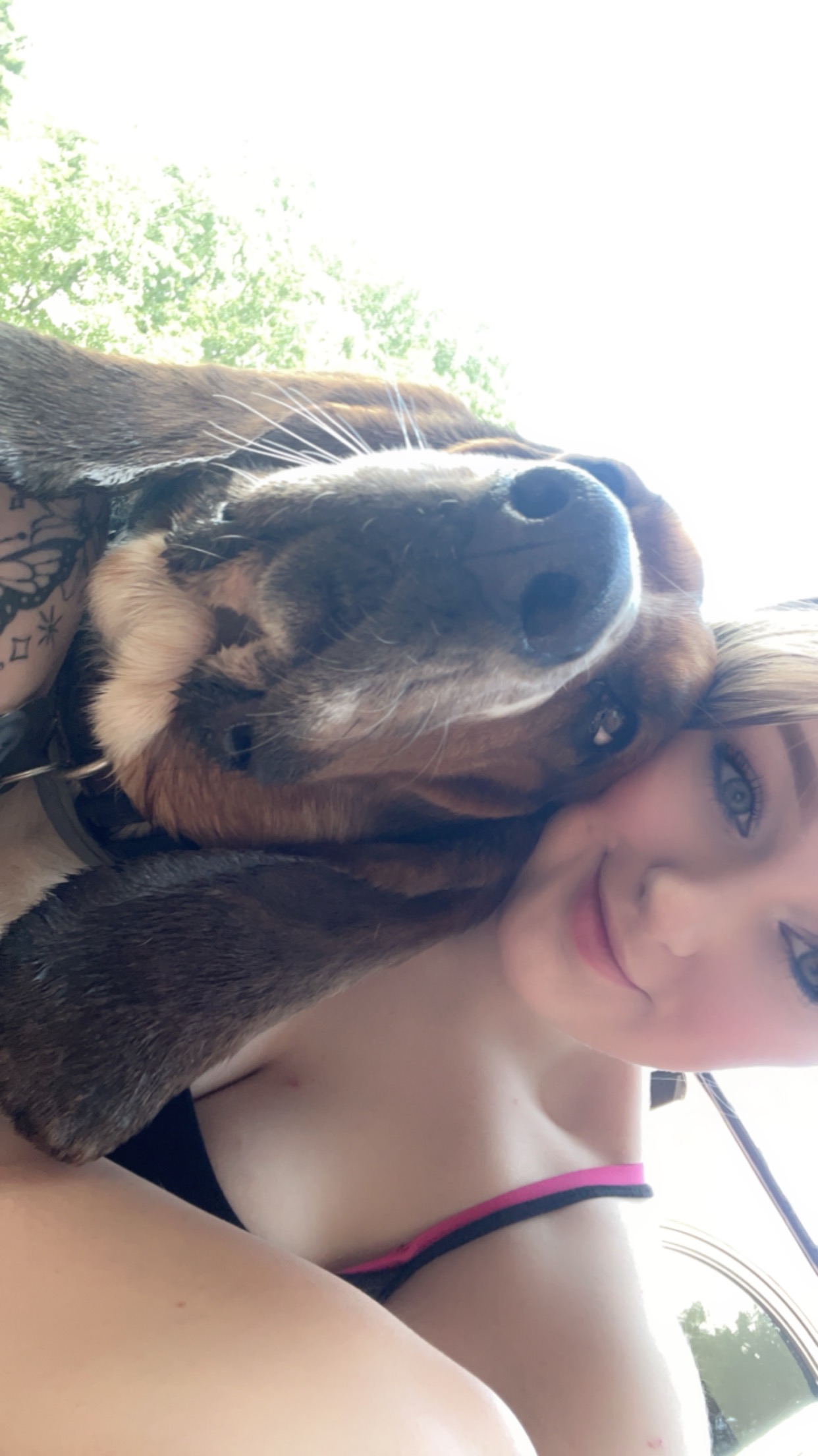 Avatar for Laneyjackson230