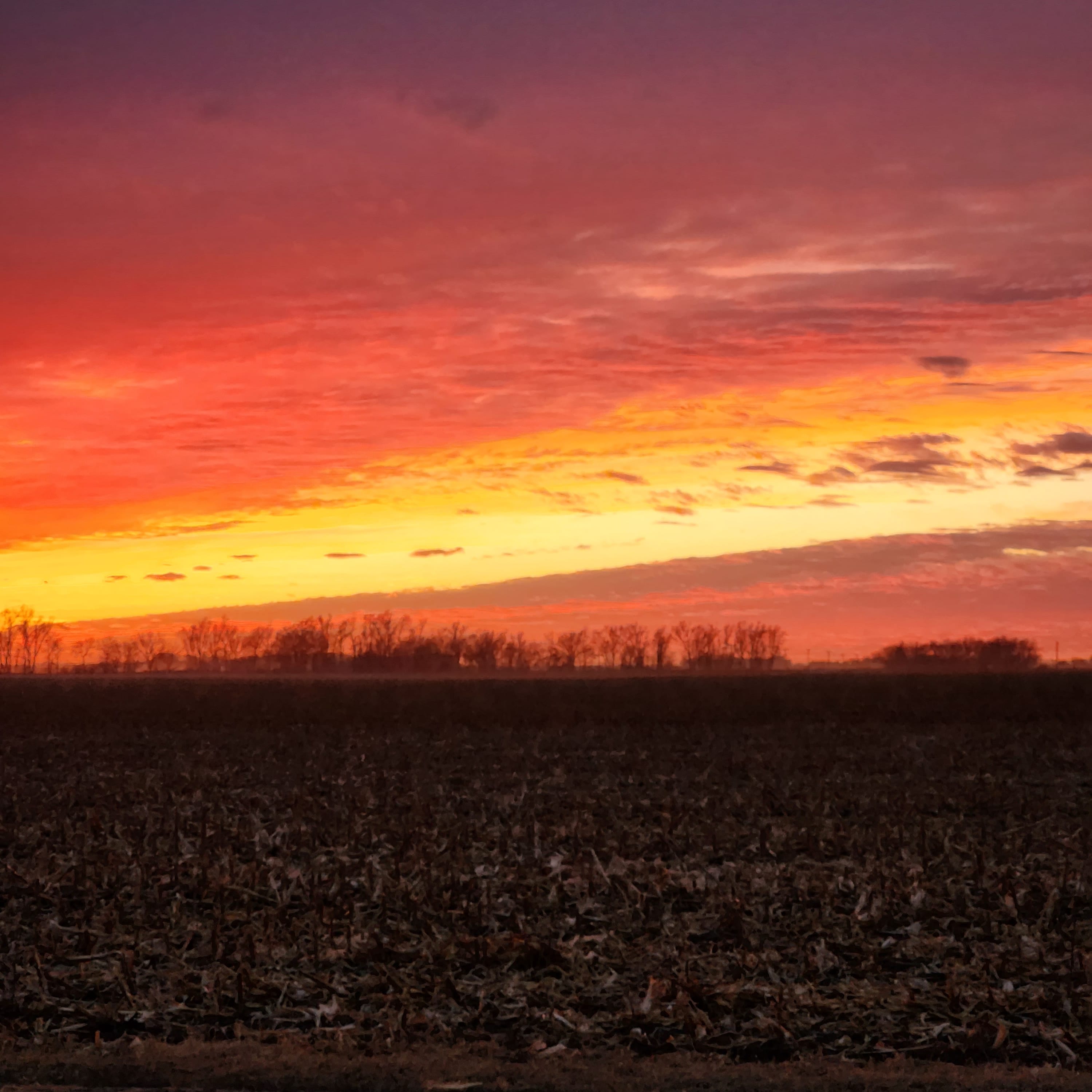 Avatar for Esto's painting services 