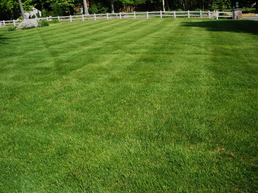 Somar Supreme Landscape Reviews Marlborough, MA Angi