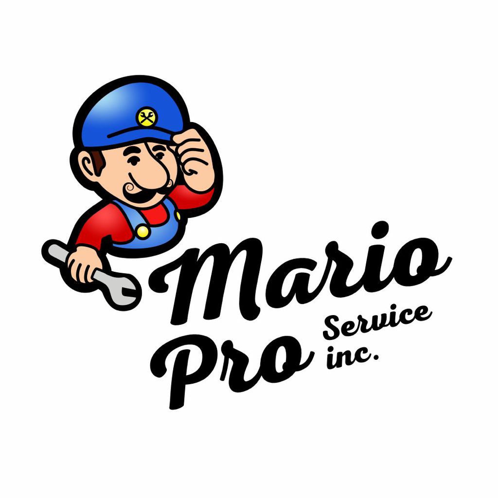 Avatar for Mario Pro Service