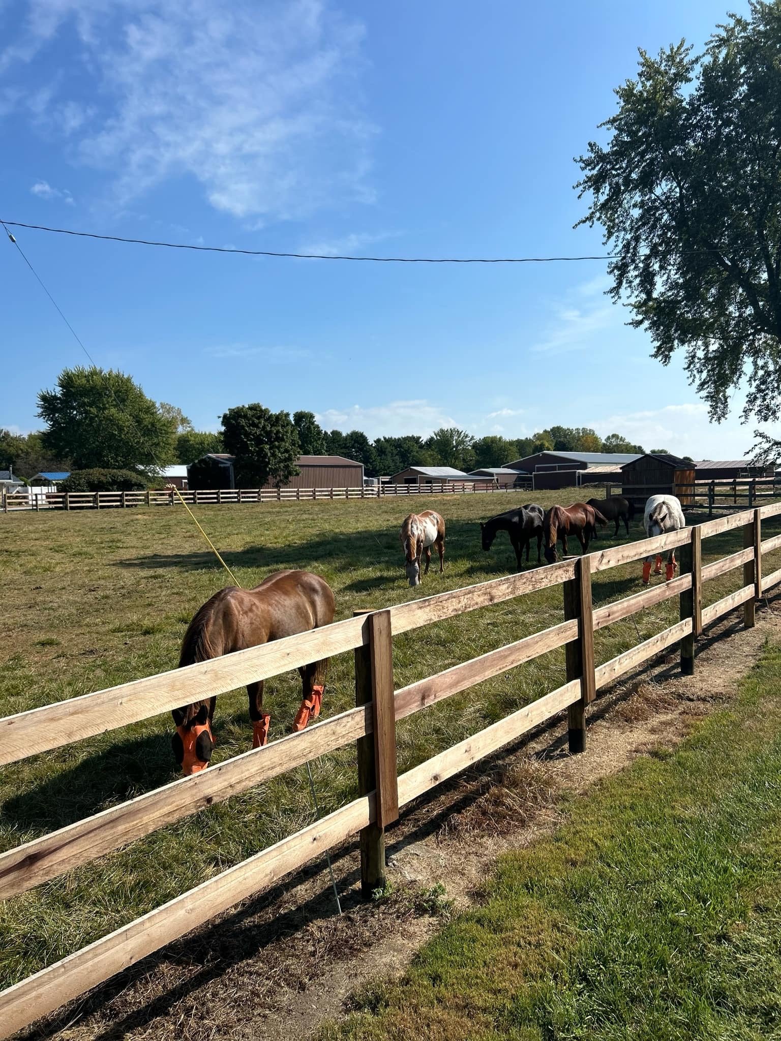 Avatar for Spurs and Sprouts Fencing and Landscaping