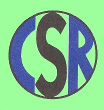 Court Surfaces & Repair Inc logo