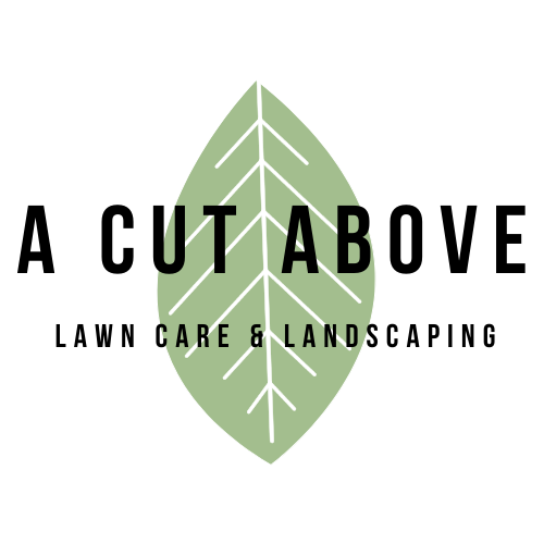 Avatar for A Cut Above