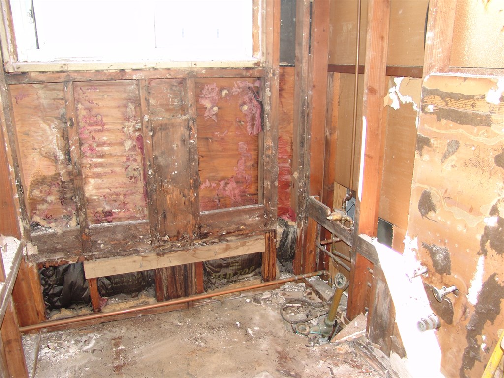 Full View of Demo