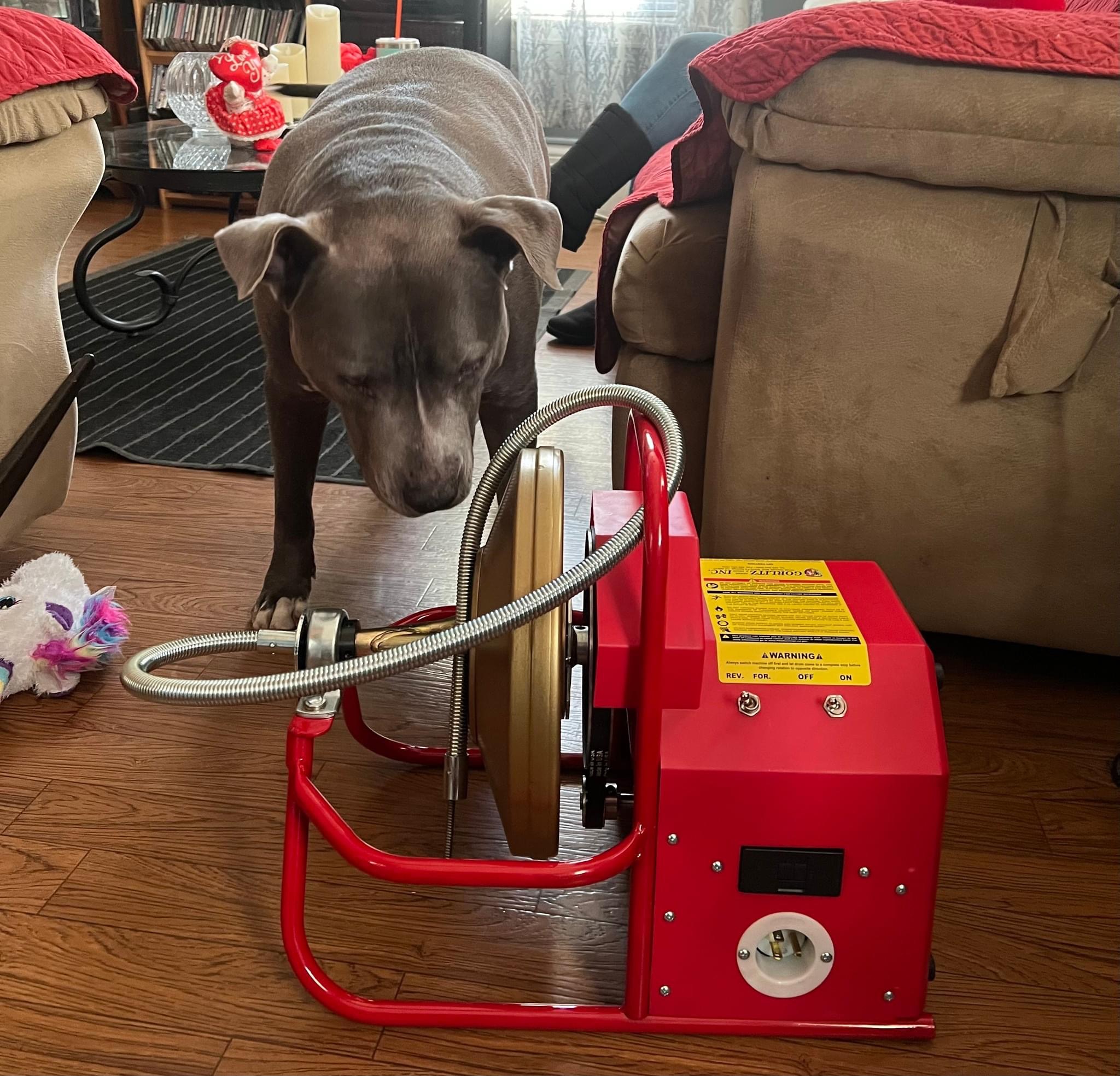 Avatar for Backed Up Drains