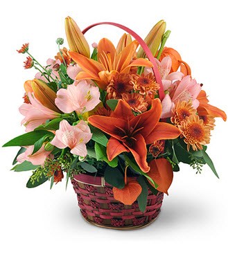 Crazy Daisy Flowers & Gifts logo