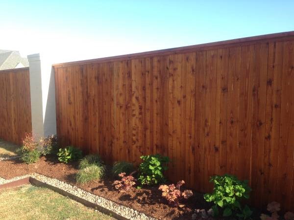 Cedar