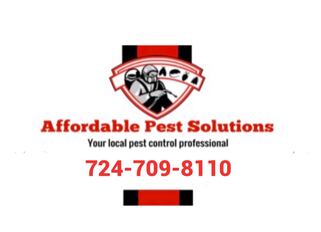 Avatar for Affordable Pest Solutions
