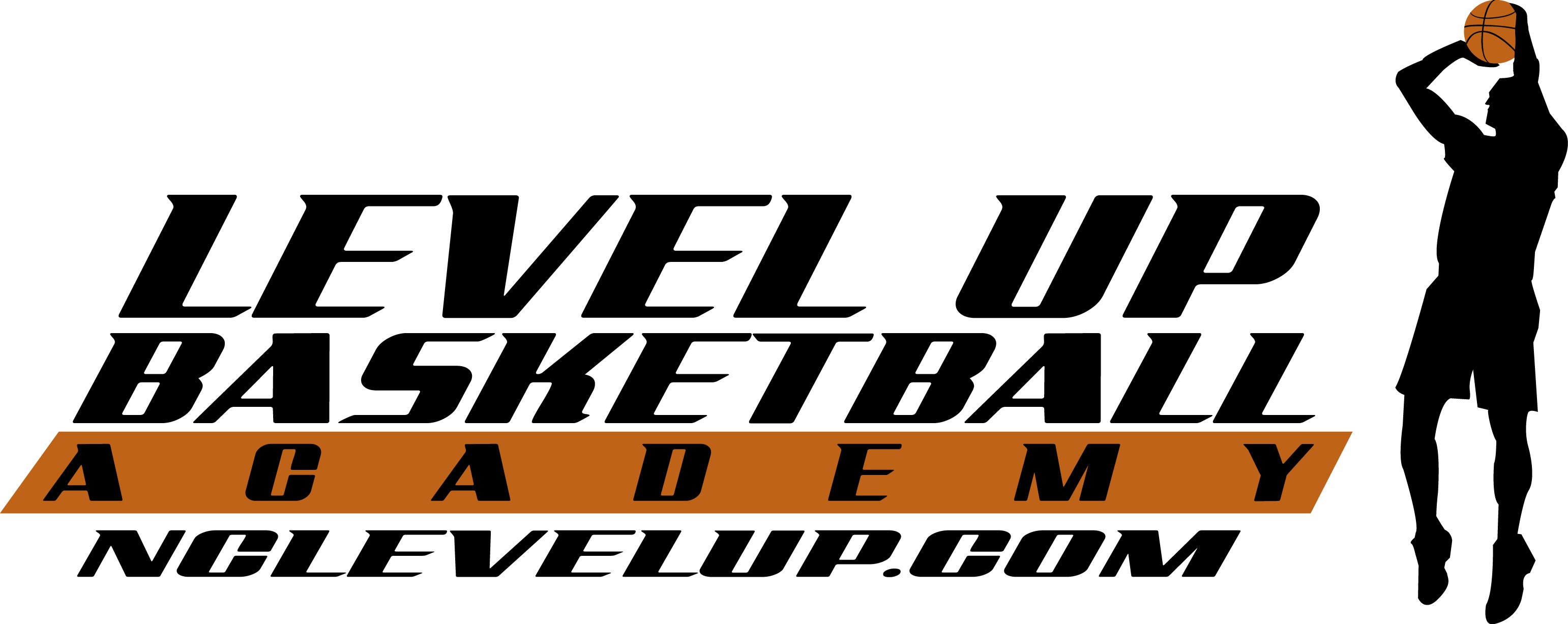 Level Up Basketball Academy, LLC logo