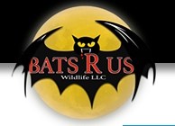 Bats R Us Wildlife Removal Specialist logo