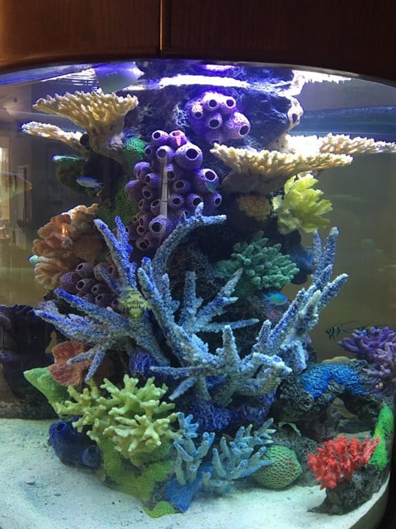Cylinder aquarium reef insert