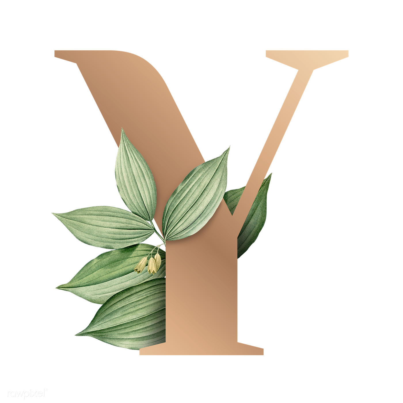 Avatar for Yardners Lawn Maintenance