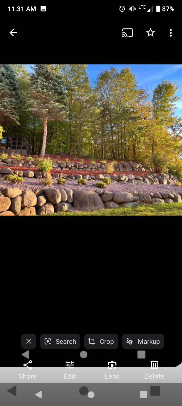 Avatar for No competition laborers