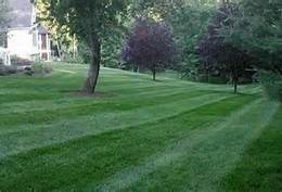 Fresh Cut Grass