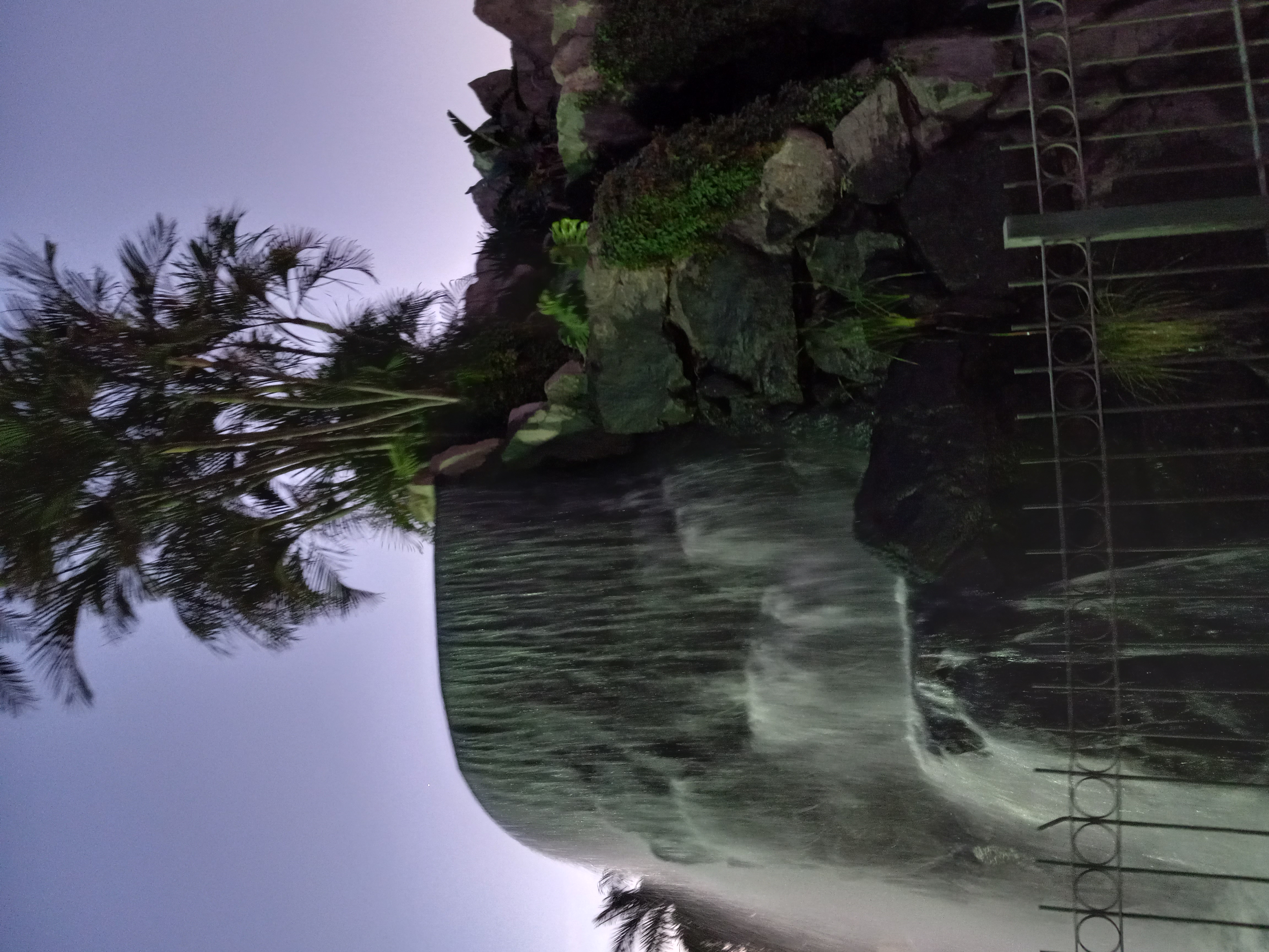 Avatar for Rj succulents