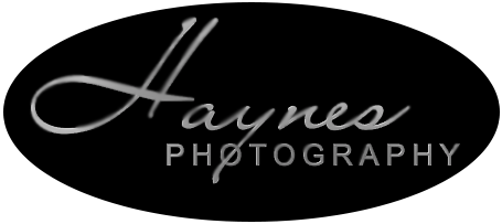 Logo for Haynes Photography