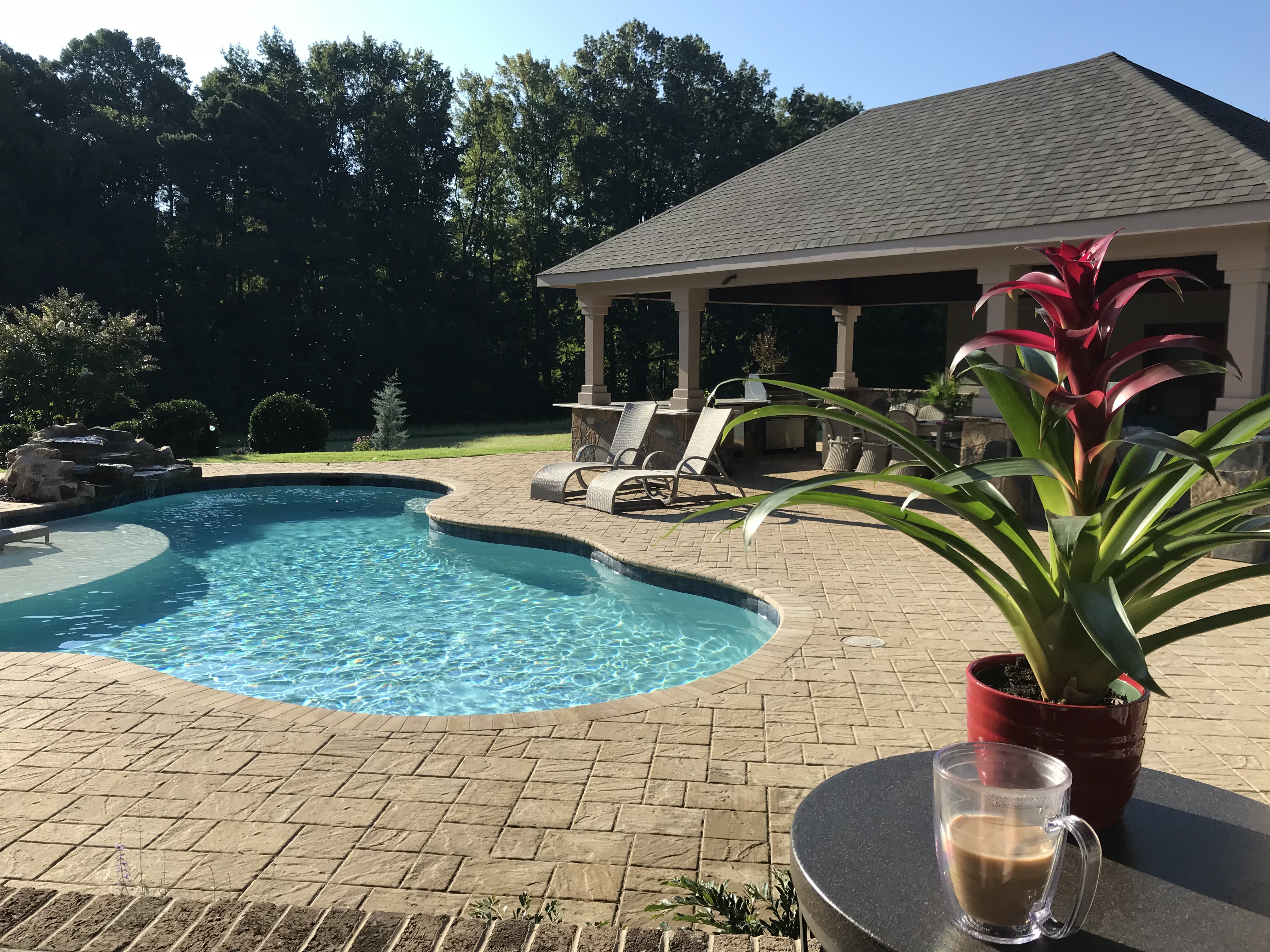 Avatar for Standard Construction & Landscaping Inc