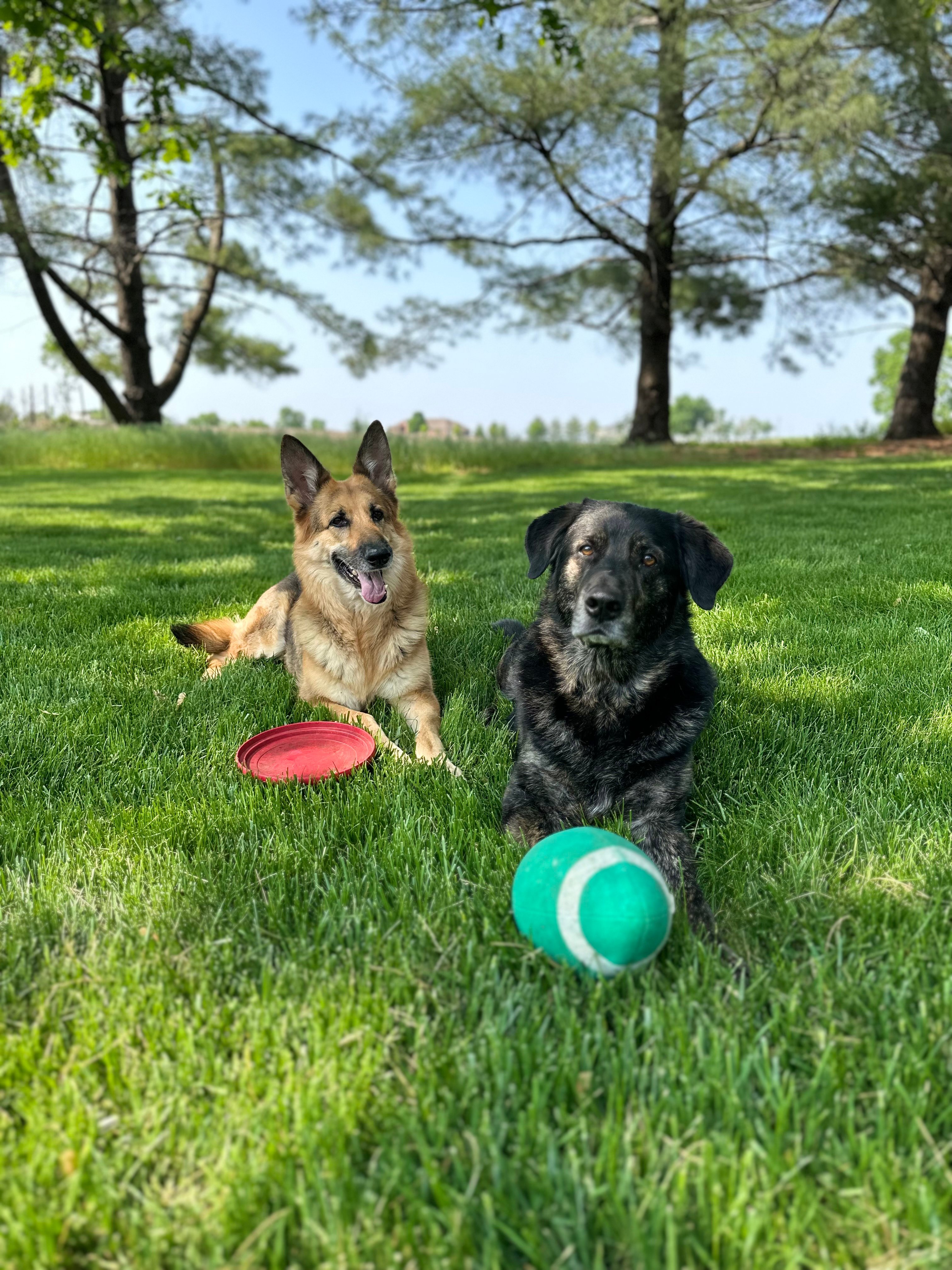 Avatar for Doyle’s L&G