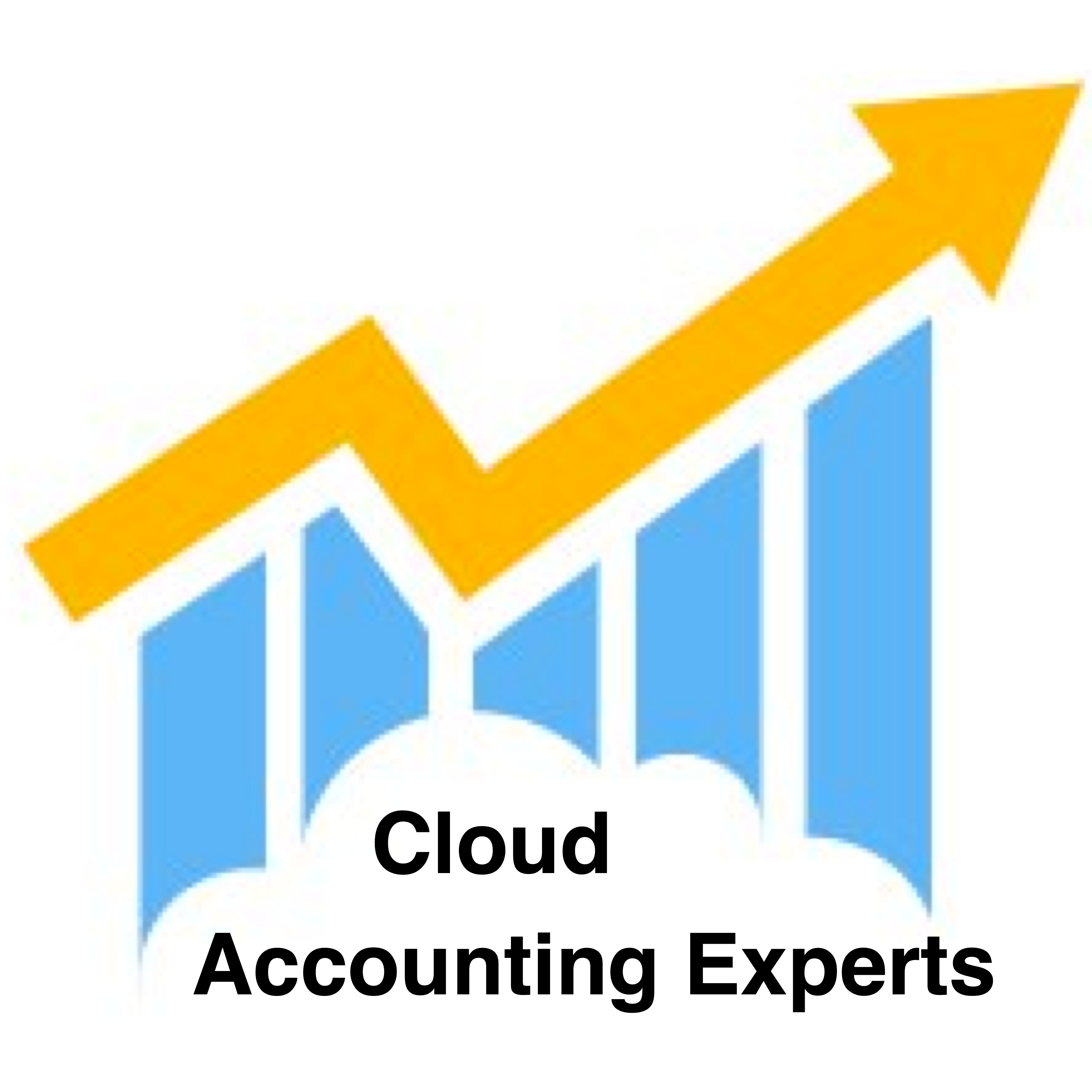 Avatar for Cloud Accounting Experts LLC