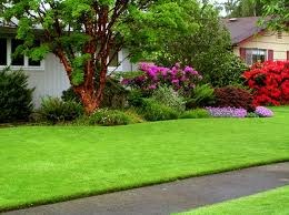 Residential Landscaping