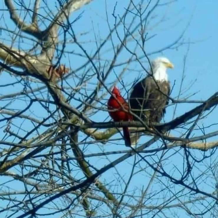 Avatar for NLC Solutions