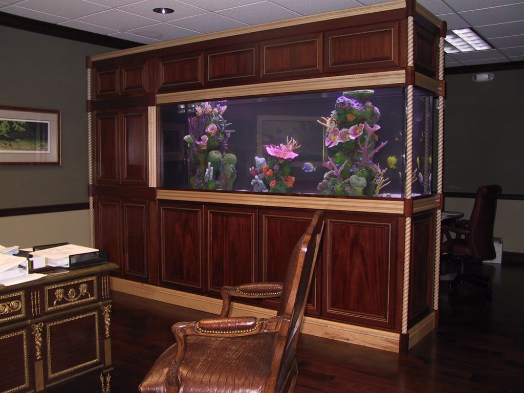 300 gallon saltwater system