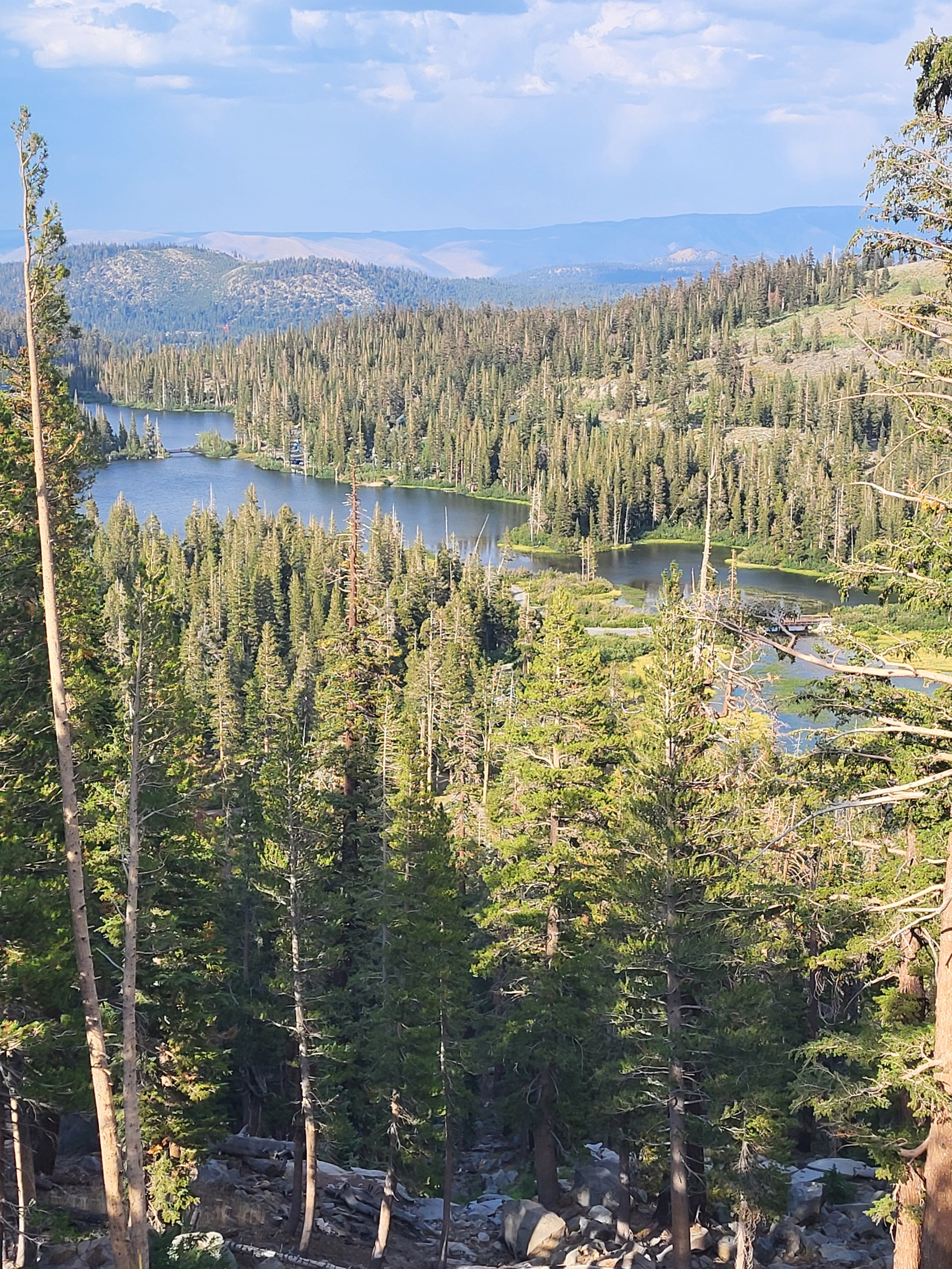 Avatar for Ann Boyle