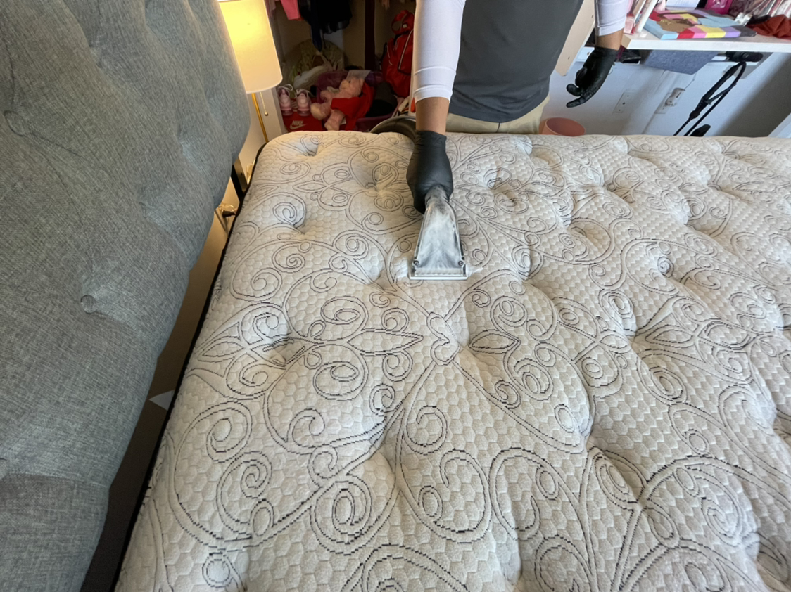 RVA Carpet Pros LLC Reviews Henrico, VA Angi