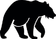 Black Bear Contractors LLC logo