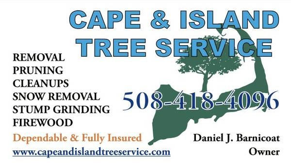 Avatar for Cape & Island Tree Service