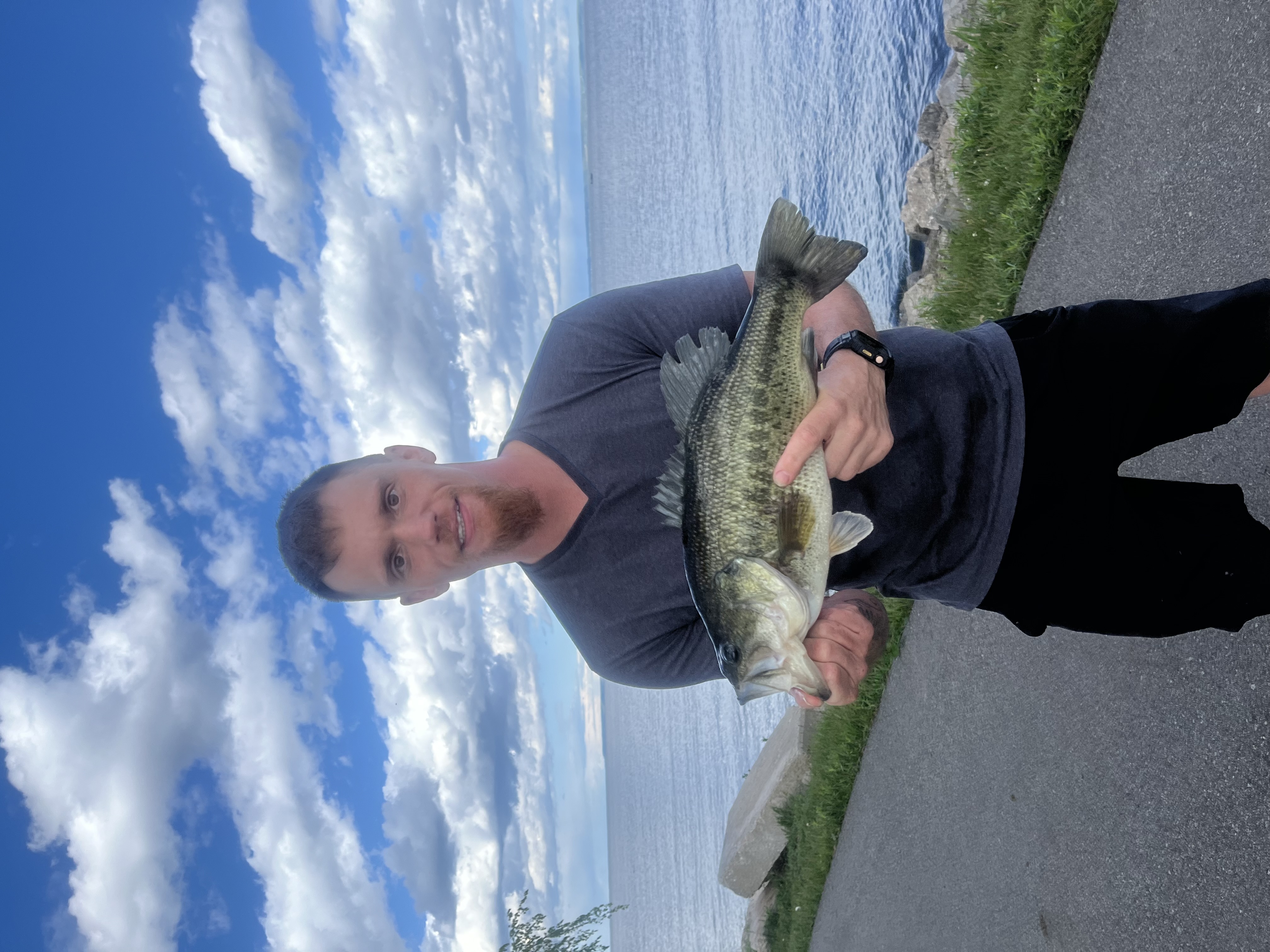 Avatar for Signature Scapes