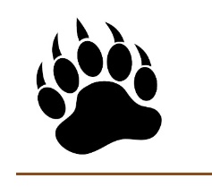 Avatar for Bearly There LLC