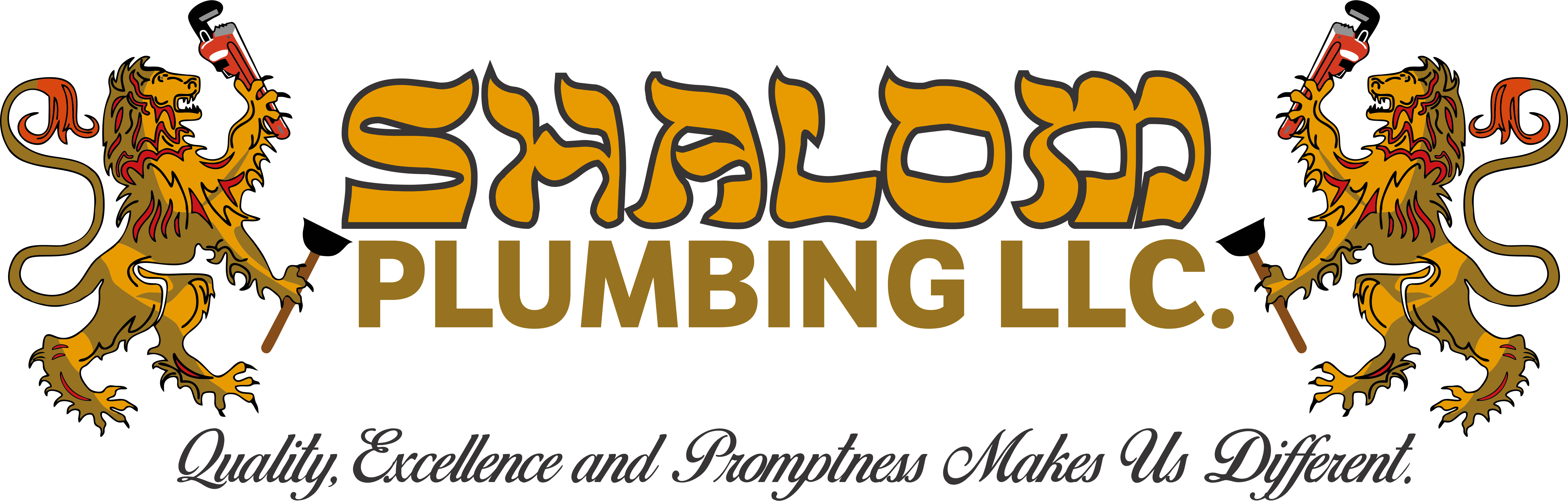 Avatar for Shalom Plumbing LLC