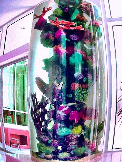 Logo for SeaClearAquarium