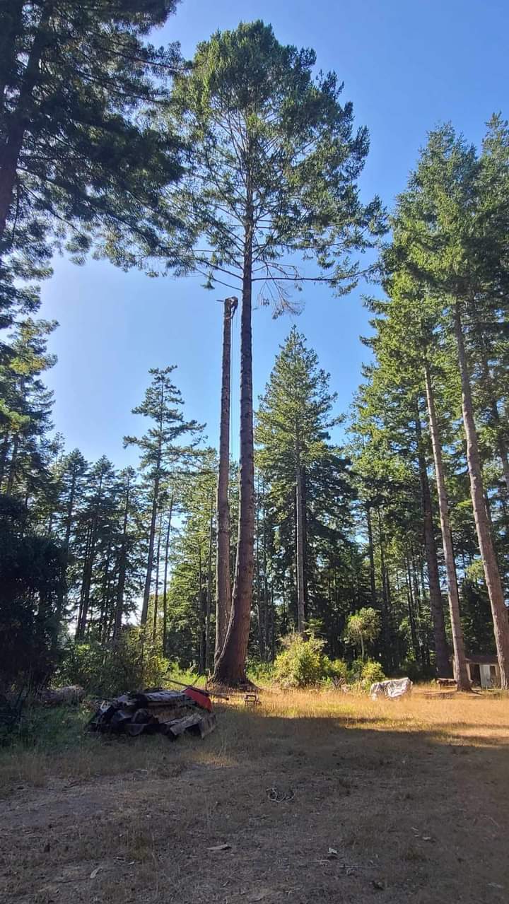 Avatar for Kyle thompson