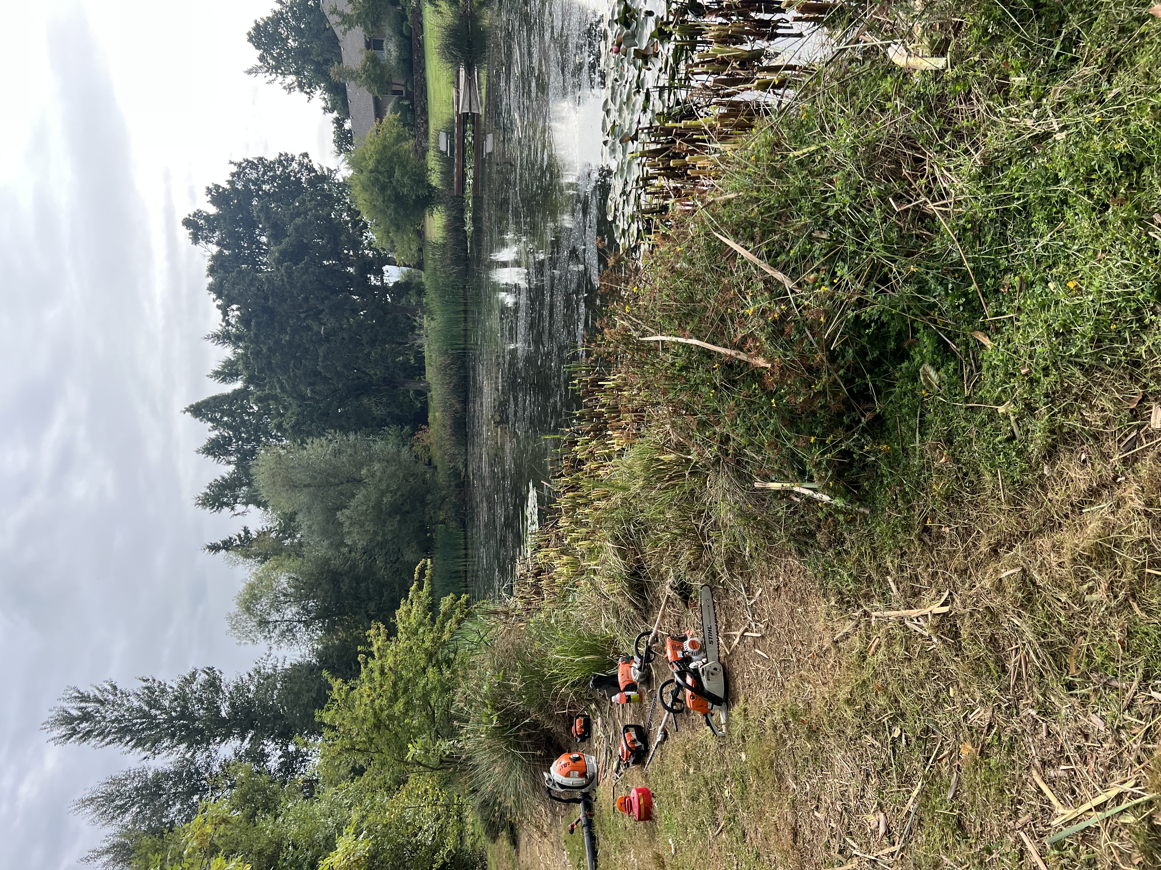 Avatar for Curb Appeal Specialist LLC