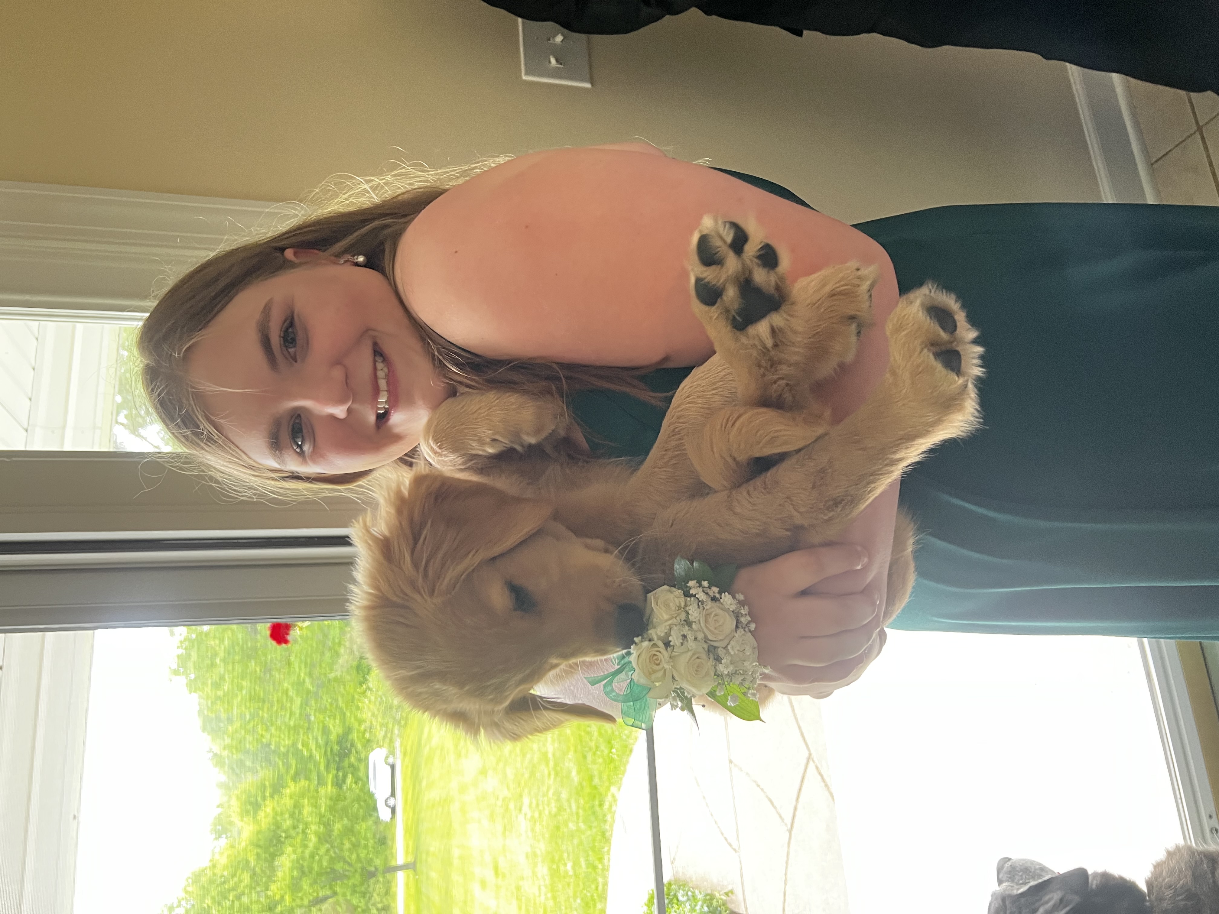 Avatar for Olivia Beamish