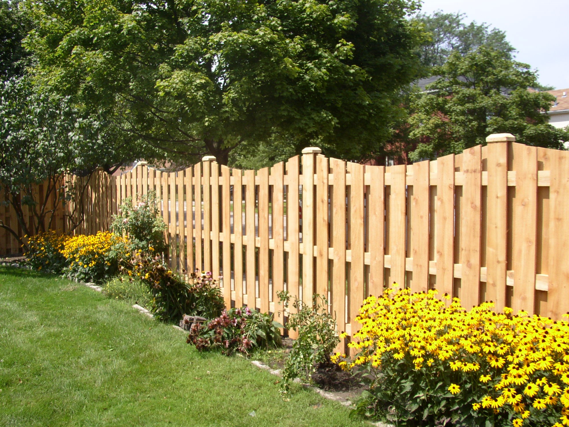 Avatar for Palmetto Fence Co, Inc