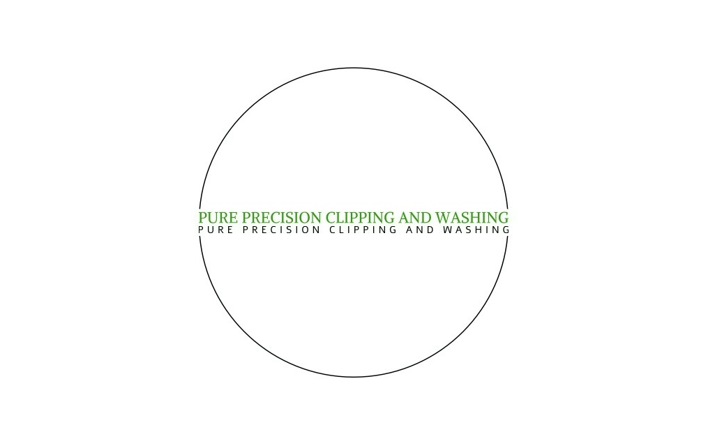 Avatar for Pure precision, clipping & washing