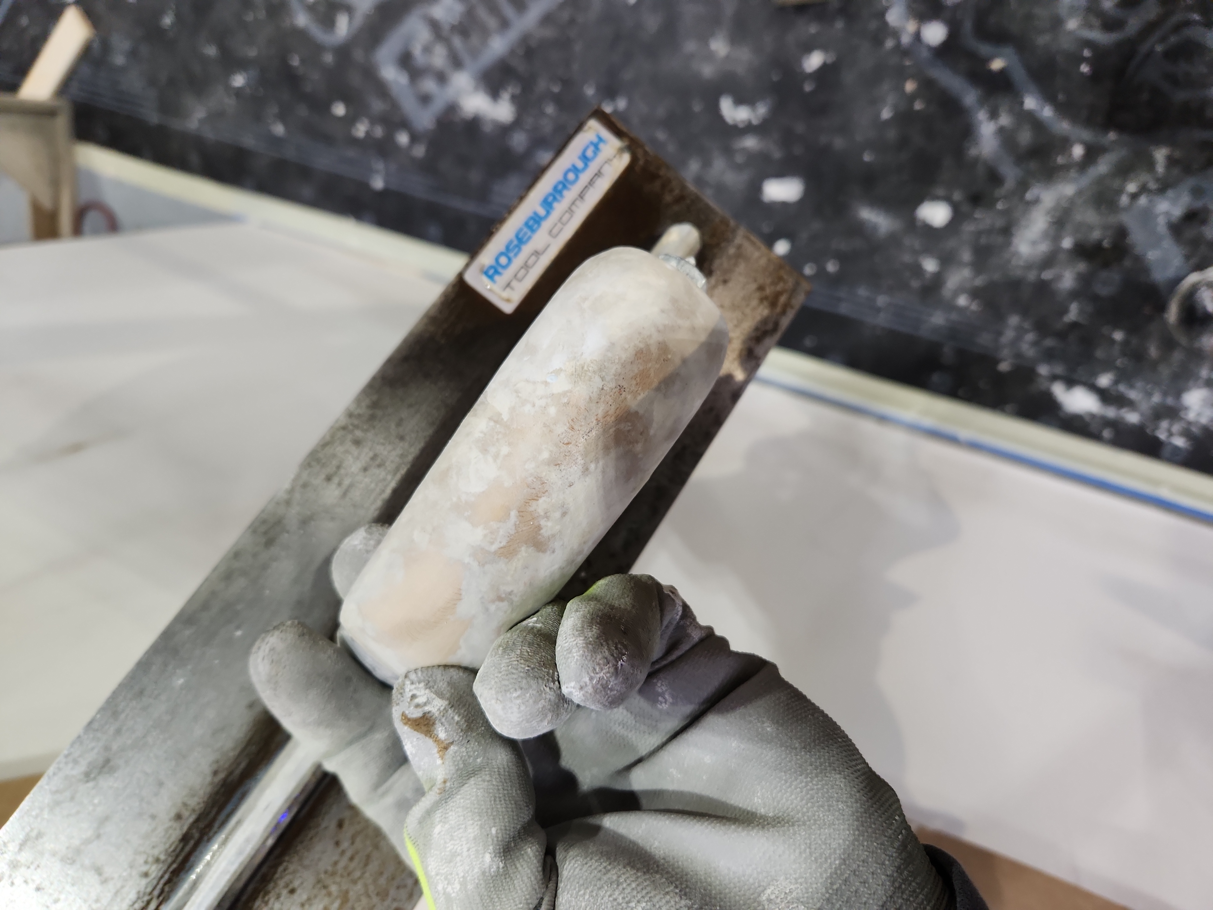 Avatar for Great White Shark Plaster