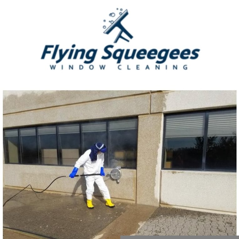 Avatar for Flying Squeegees, LLC