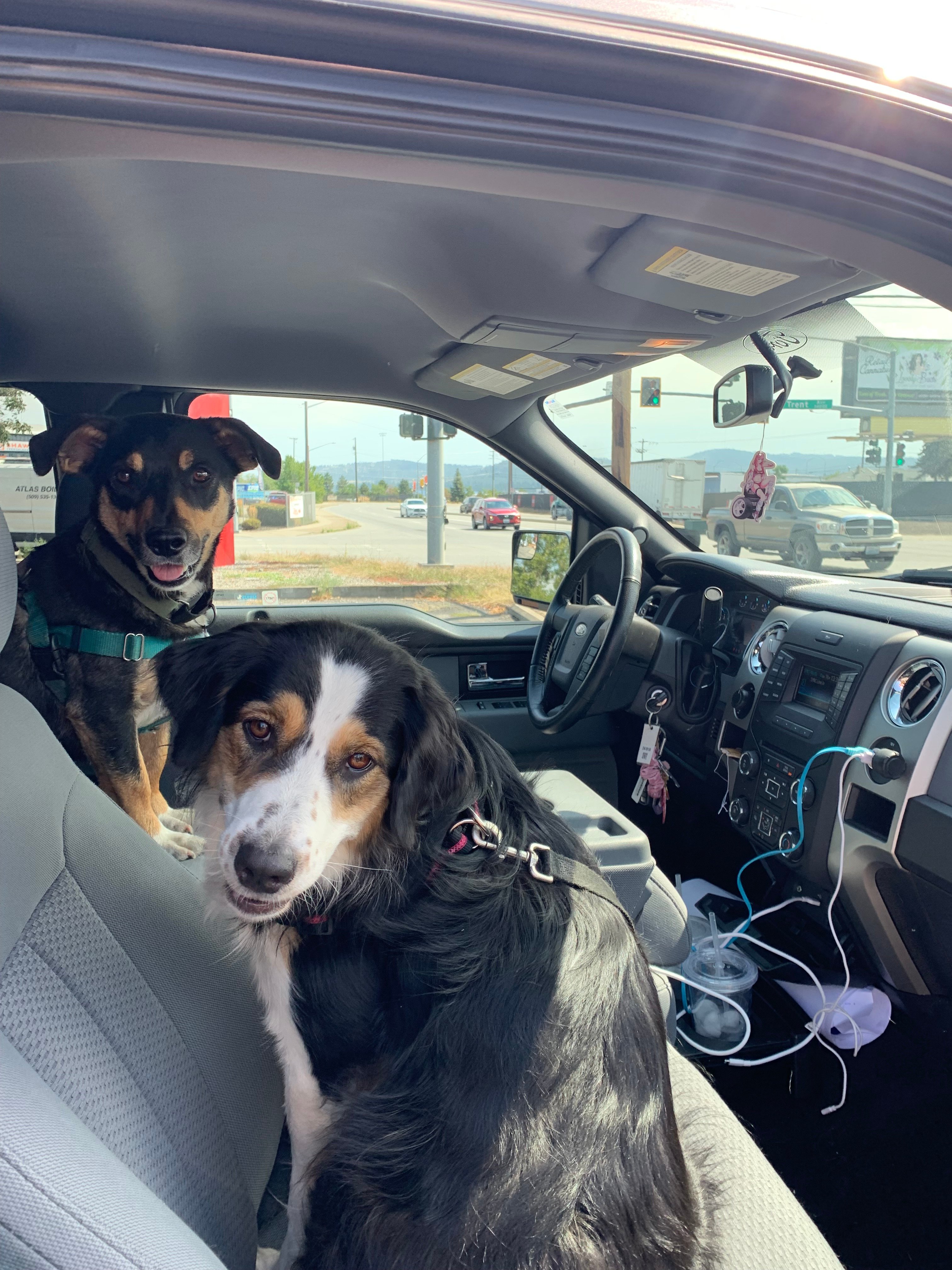 Avatar for Darian Solorio