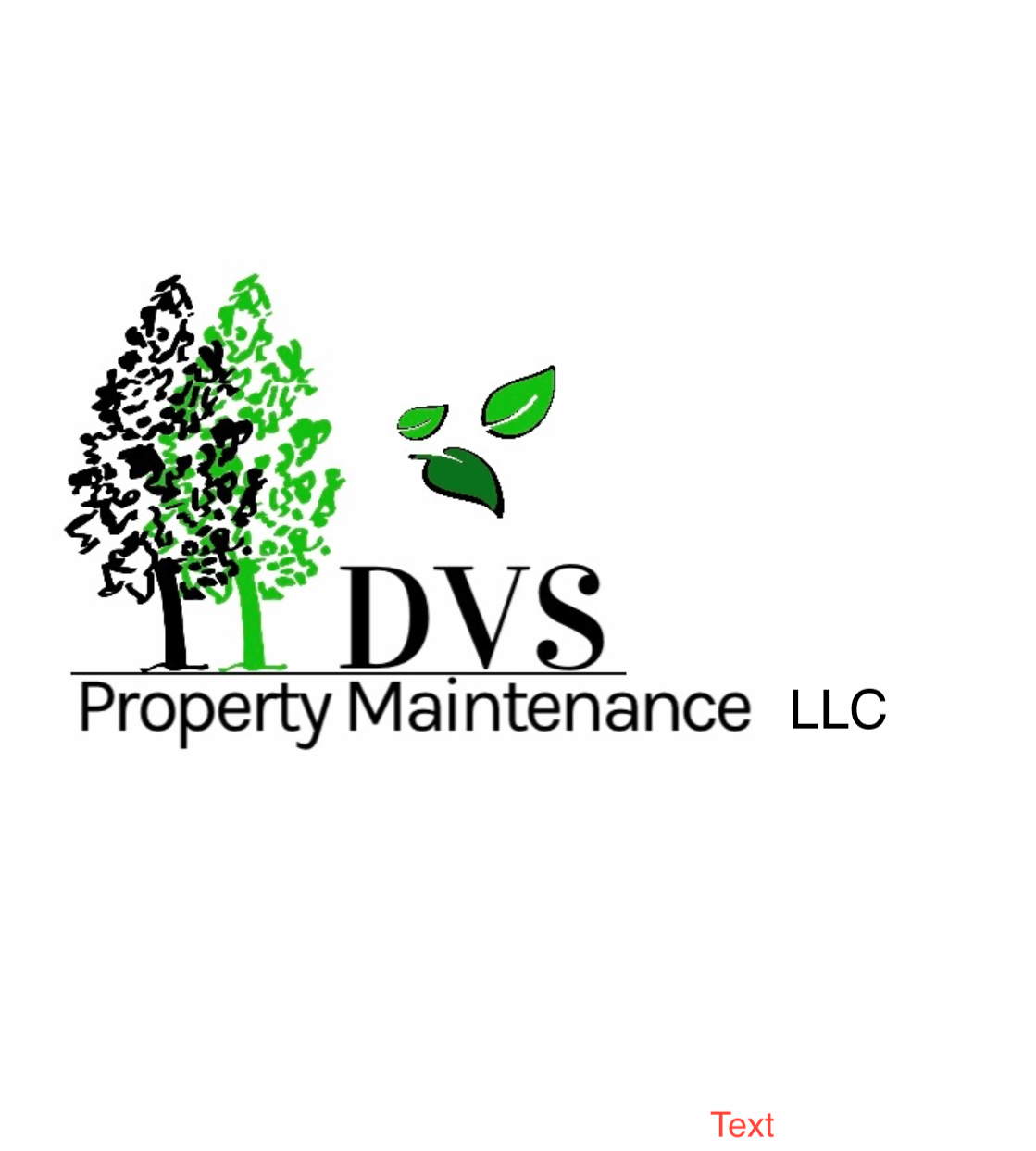 Avatar for DVS Property Maintenance LLC