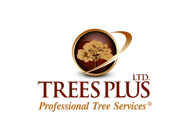 Avatar for Trees Plus LTD.