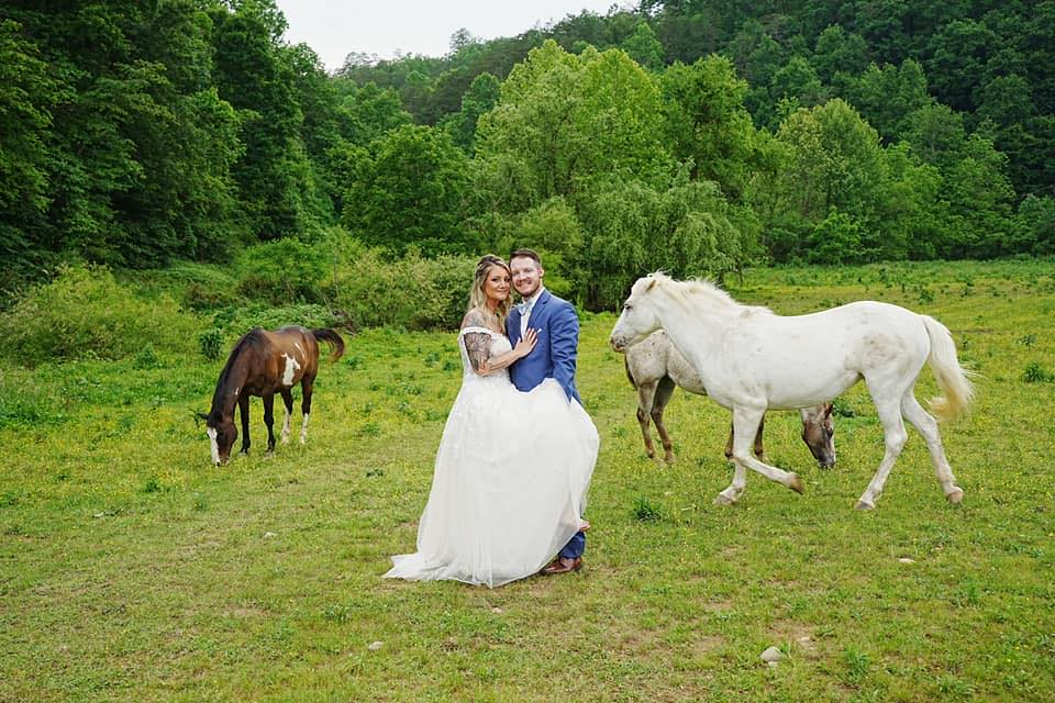 Avatar for Lindsey's Handyman and Cleaning Services