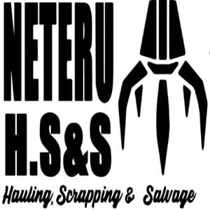 Avatar for Neteru H.S&S