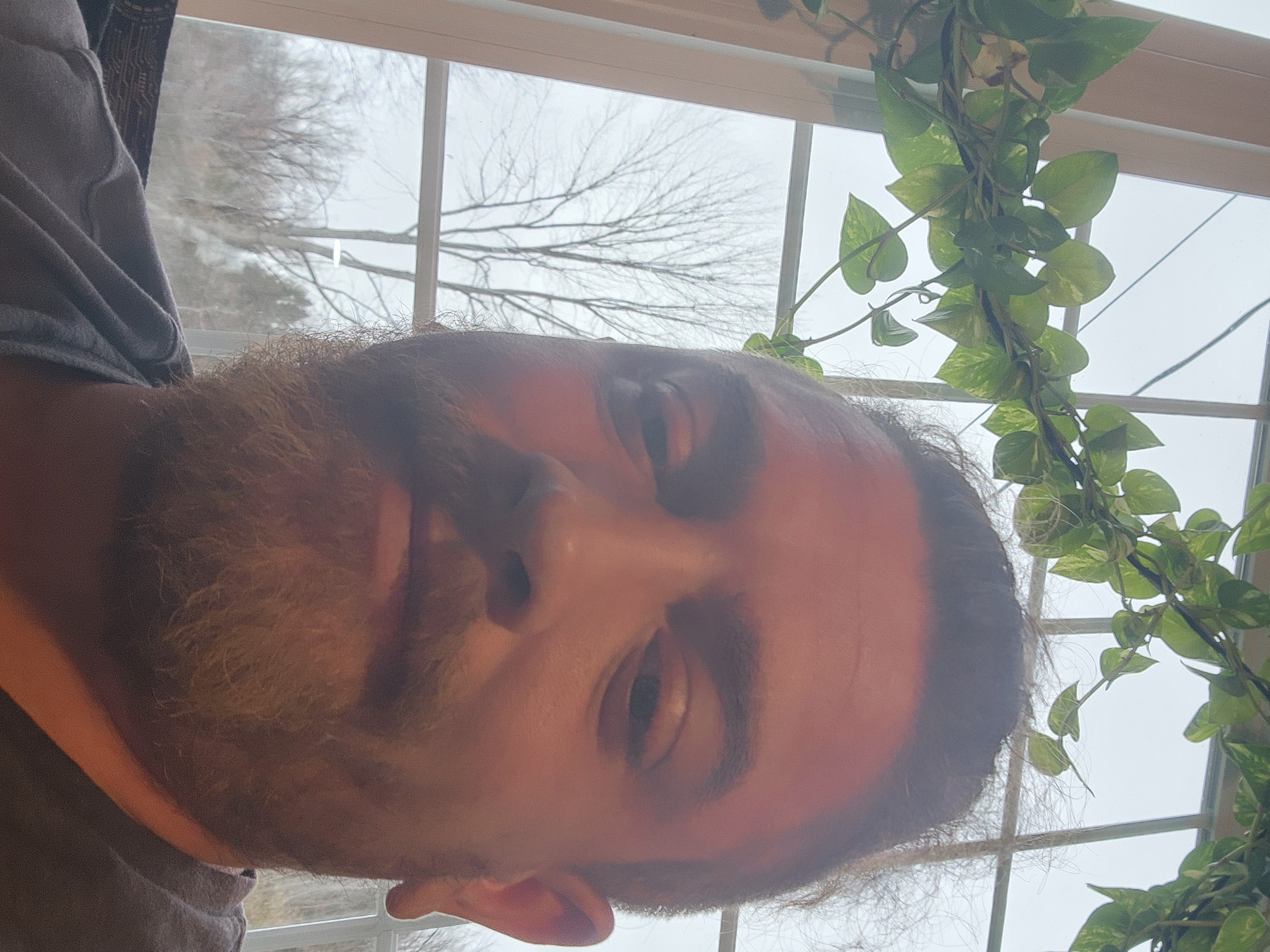 Avatar for No braner